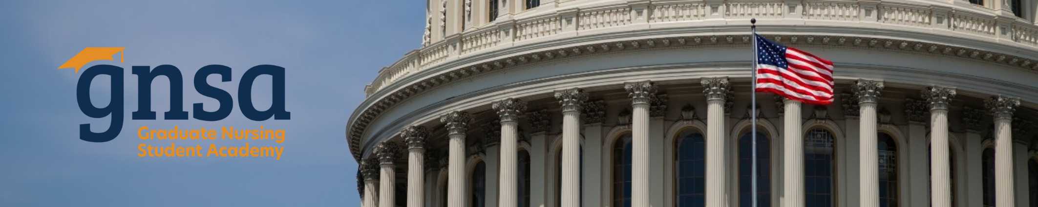 gnsa graduate nursing student academy | image of US Capitol Rotunda gnsa graduate nursing student academy | image of US Capitol Rotunda